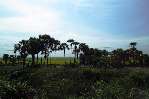 Kampong Sne Damp